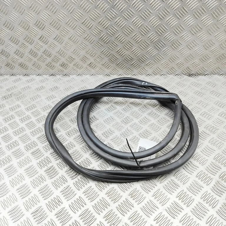 Priekšējā blīvgumija (uz durvīm) 6231142120
