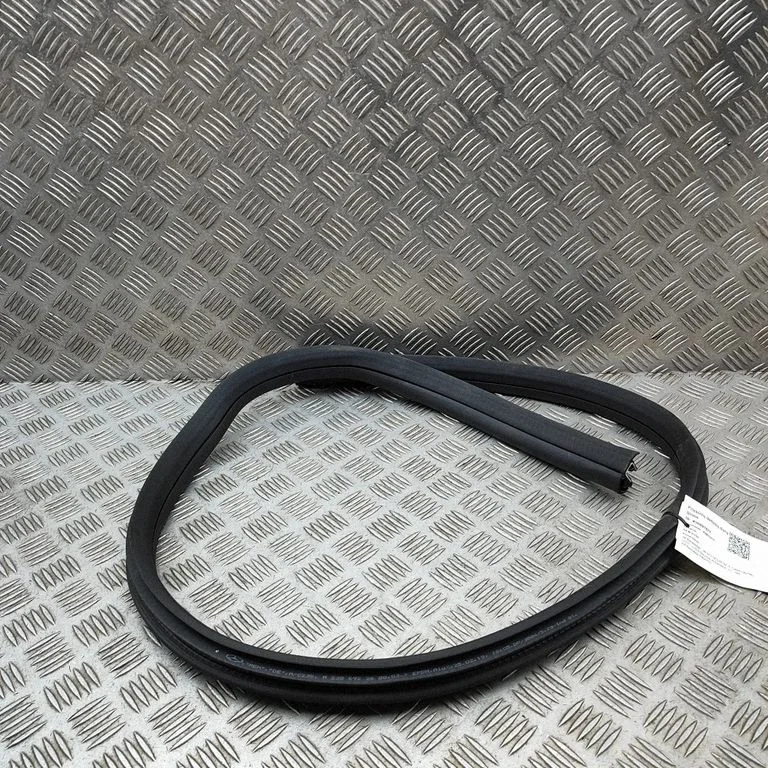 Rubber seal front door (on door) A2386922600