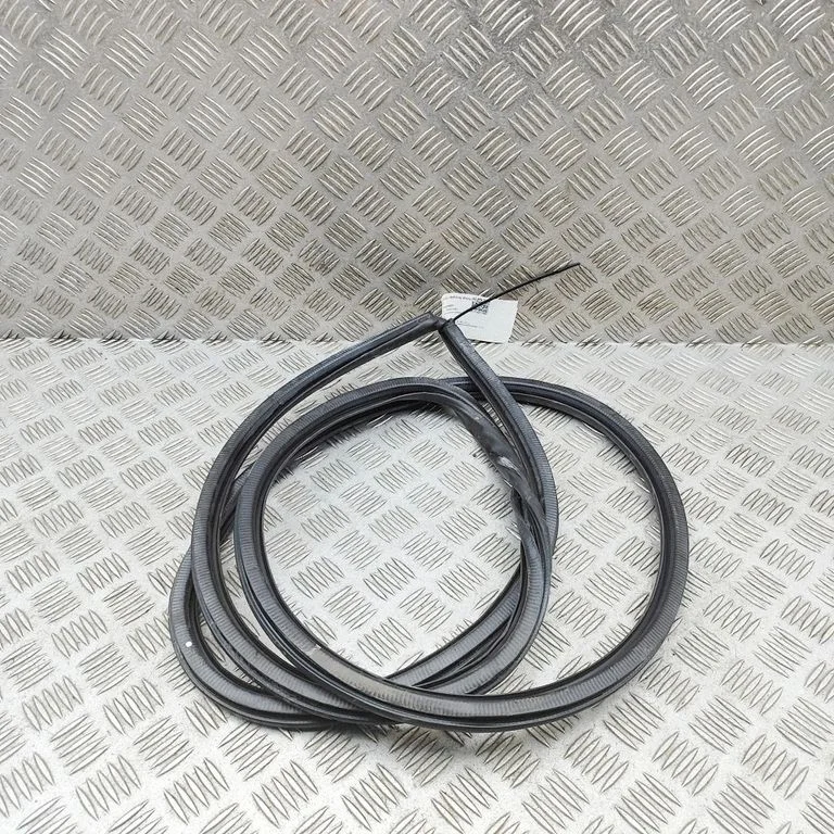 Priekšējā blīvgumija (uz durvīm) 6231153040
