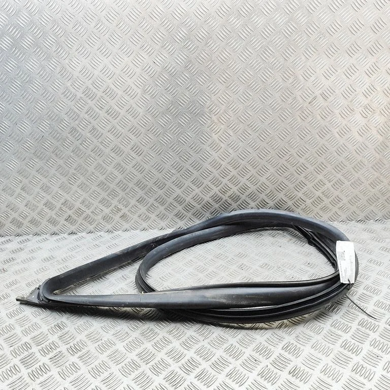 Priekšējā blīvgumija (uz durvīm) 670108175