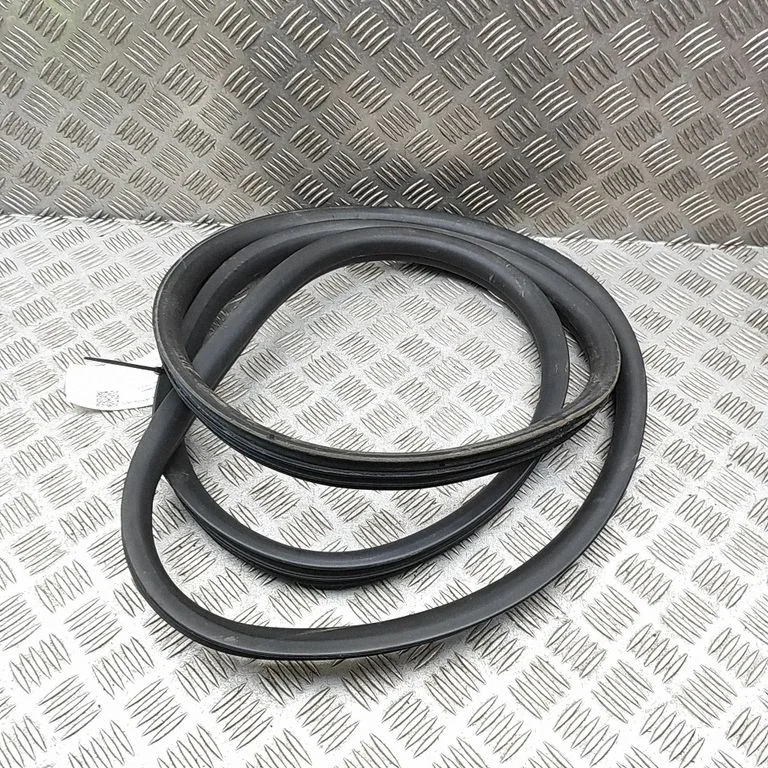 Priekšējā blīvgumija (uz durvīm) 9818018380