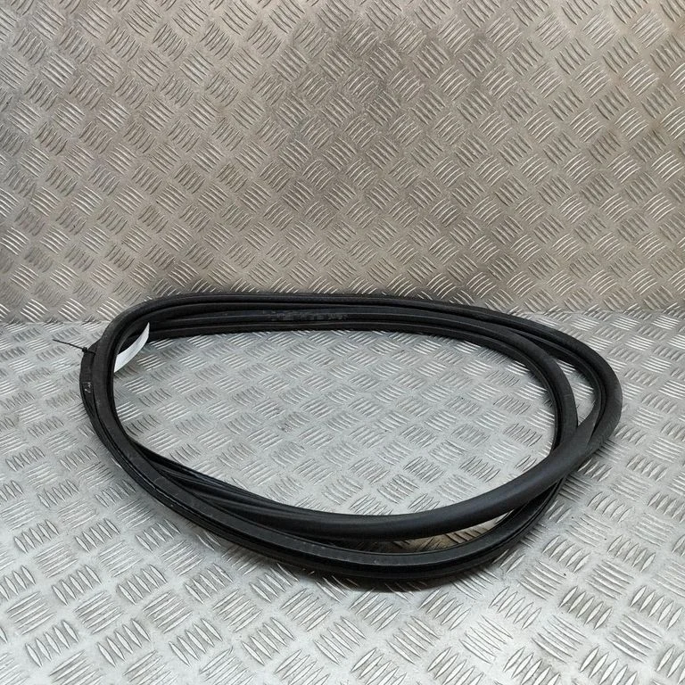 Rubber seal front door (on door) 9811537480