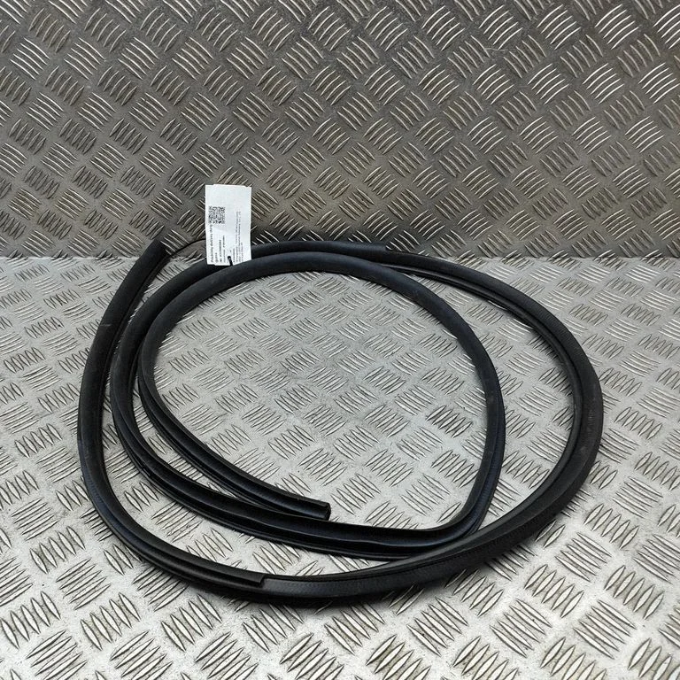 Rubber seal front door (on door) SU00308603