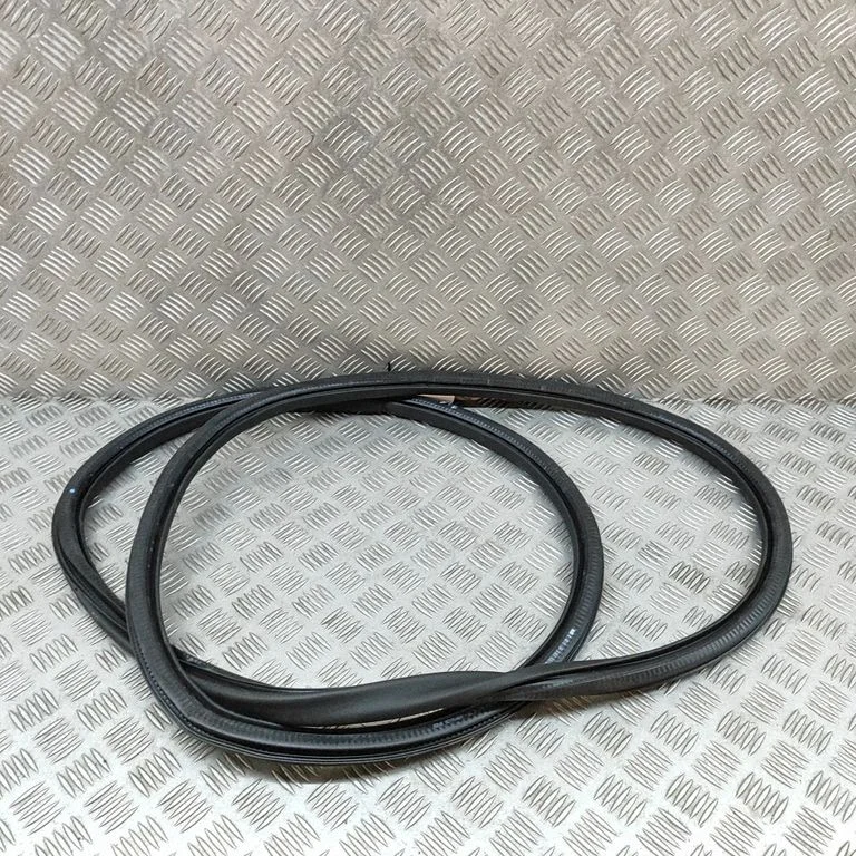 Rubber seal front door (on door) 9839764680