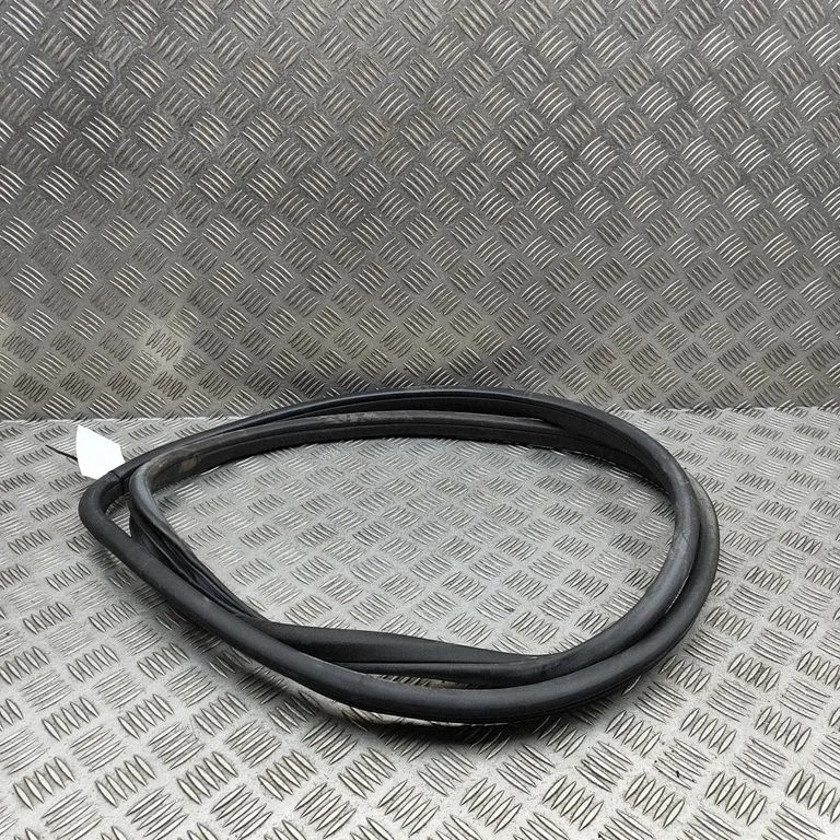 Priekšējā blīvgumija (uz durvīm) A2126970051