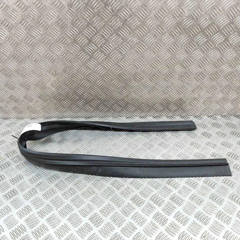 Priekšējā blīvgumija (uz durvīm) 67863F4010