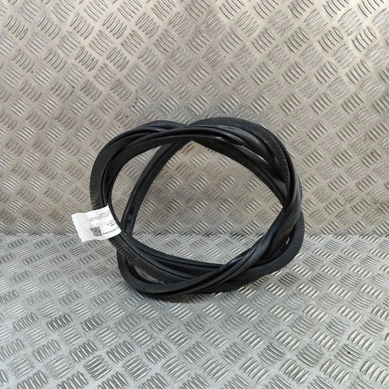 Priekšējā blīvgumija (uz durvīm) A0007271300