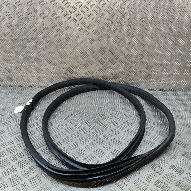 Rubber seal front door (on door) A1666970051
