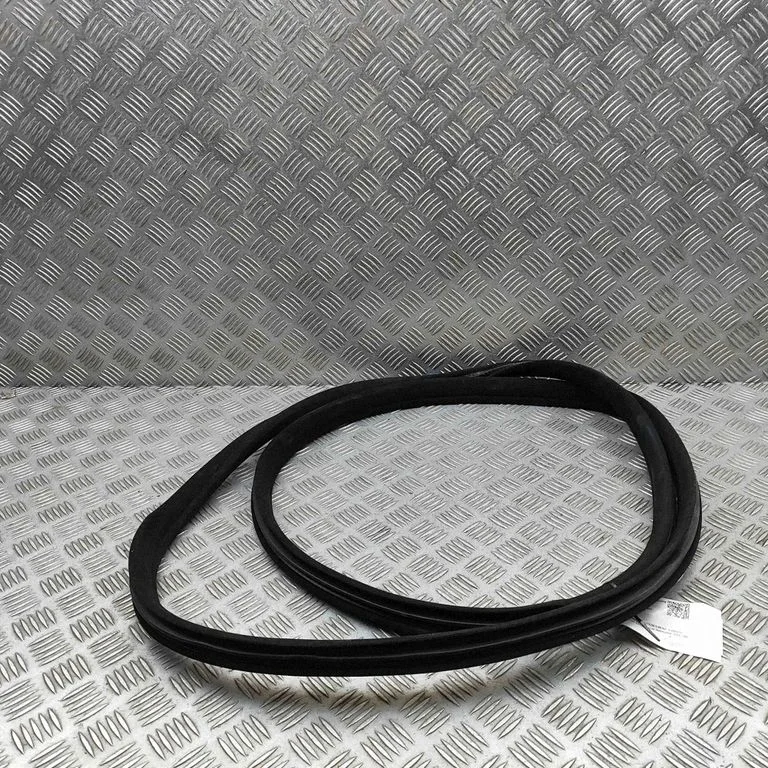 Priekšējā blīvgumija (uz durvīm) A2216970551