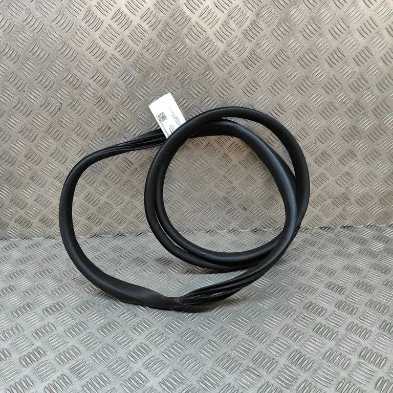 Rubber seal front door (on door) 808388135R