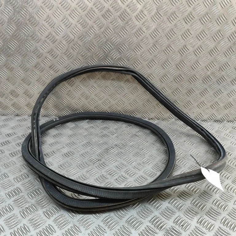 Rubber seal front door (on door) 7428678