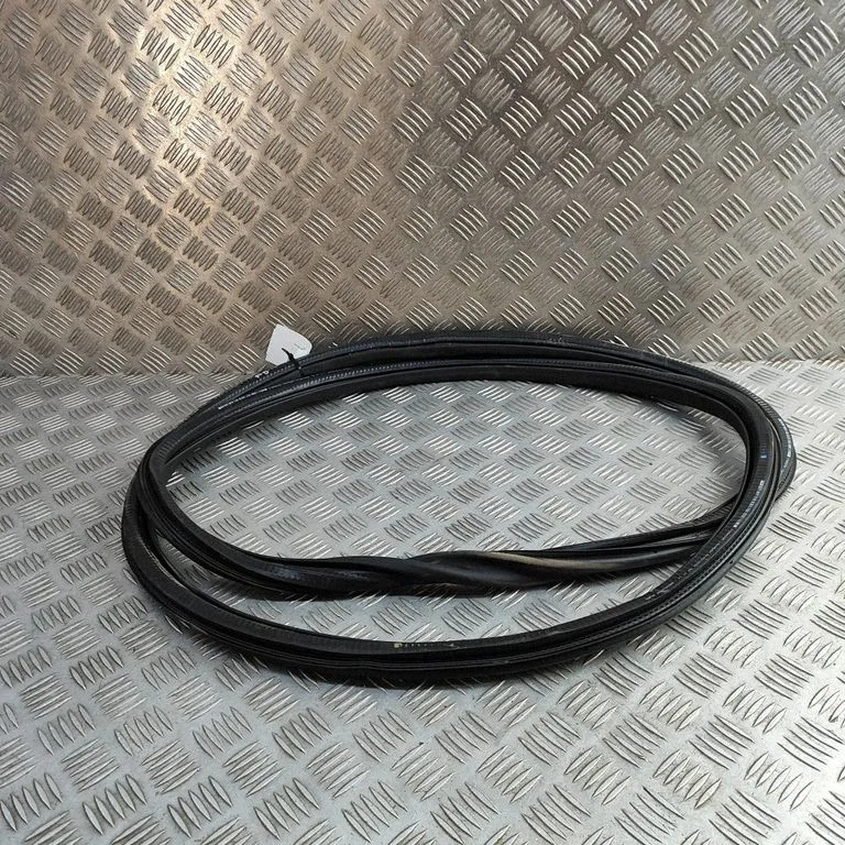 Priekšējā blīvgumija (uz durvīm) 9839764680