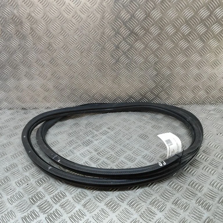 Rubber seal front door (on door) A2956970200
