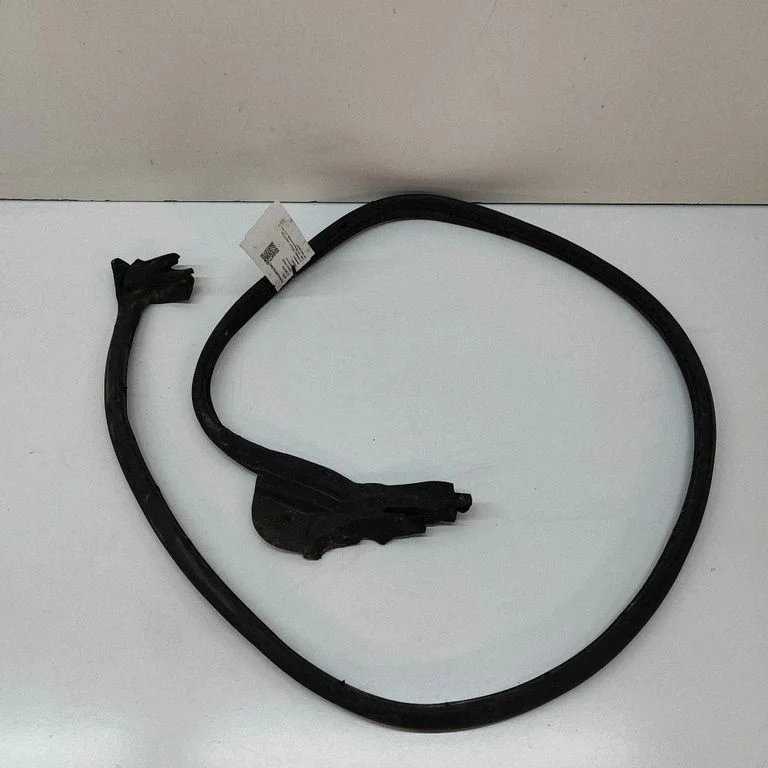 Priekšējā blīvgumija (uz durvīm) 10269866