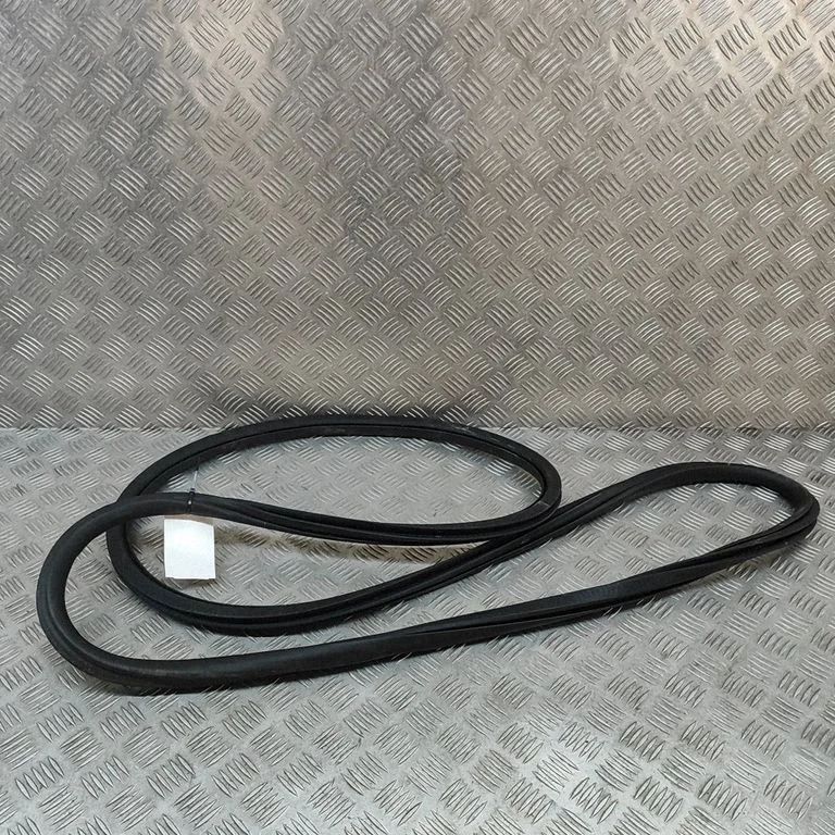 Rubber seal front door (on door) A0007271300