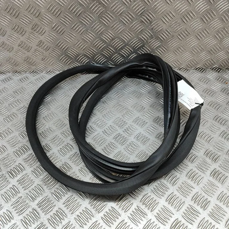 Priekšējā blīvgumija (uz durvīm) A1666970051