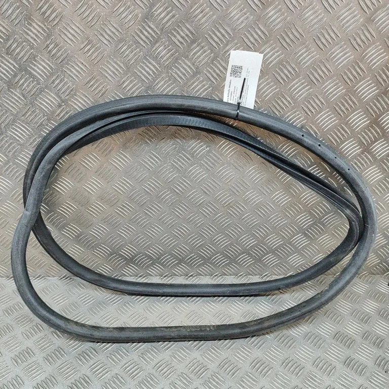 Rubber seal front door (on door) A1676971800