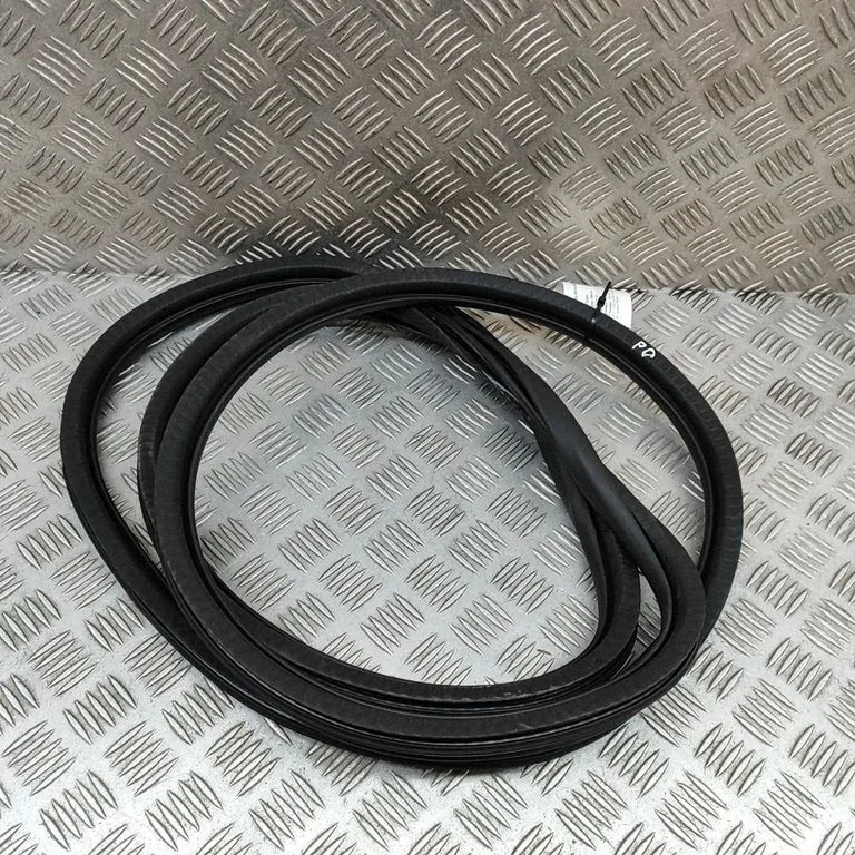 Rubber seal front door (on door) 9811537480
