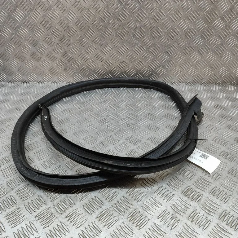 Rubber seal front door (on door) 98653707602