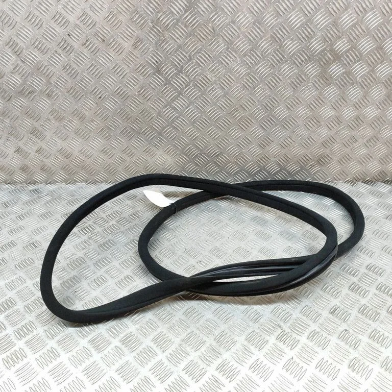 Priekšējā blīvgumija (uz durvīm) A2046971051