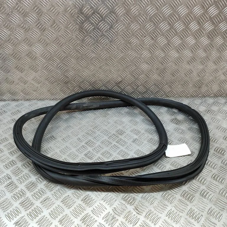 Priekšējā blīvgumija (uz durvīm) A2956970200