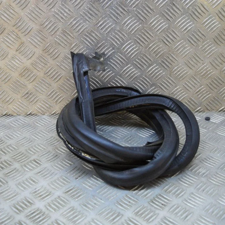 Rubber seal front door (on door) 98653790200