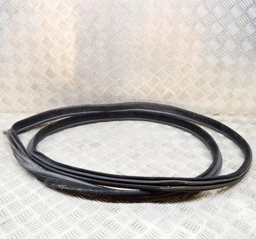 Rubber seal front door (on door) 7221326