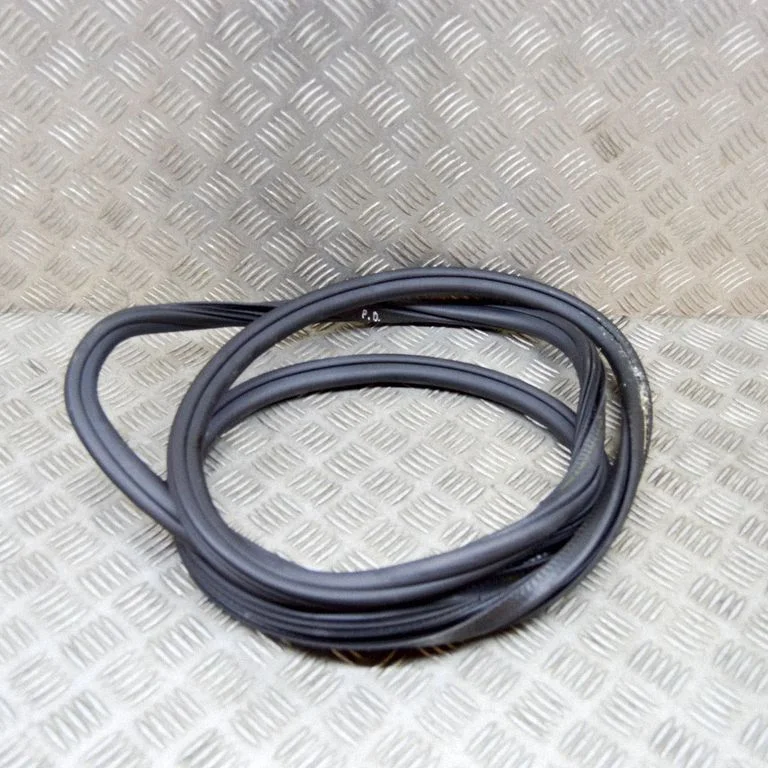 Rubber seal front door (on door) 95B831721B