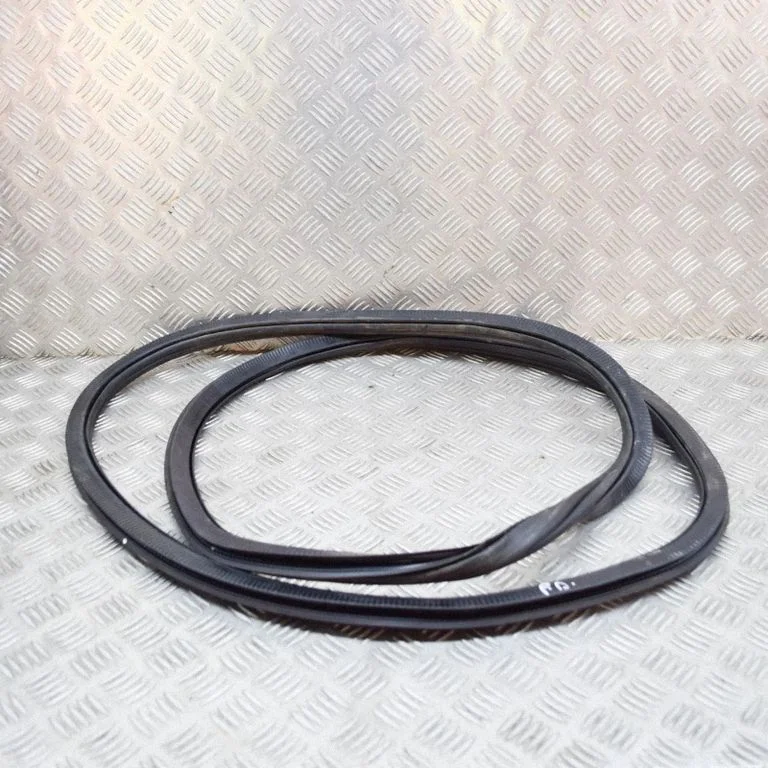 Priekšējā blīvgumija (uz durvīm) 10A867911