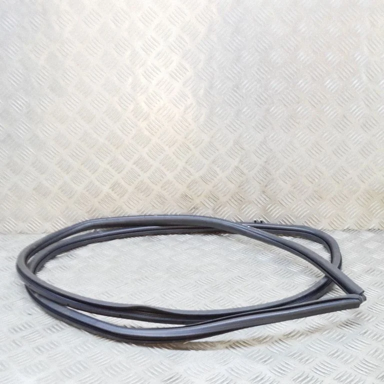 Priekšējā blīvgumija (uz durvīm) 6231148100