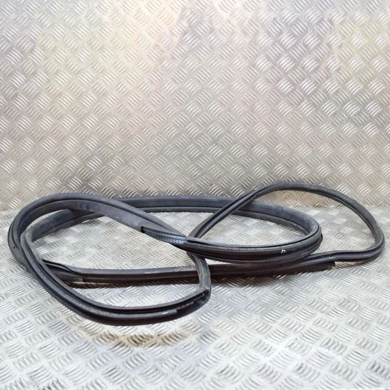 Priekšējā blīvgumija (uz durvīm) 7301741