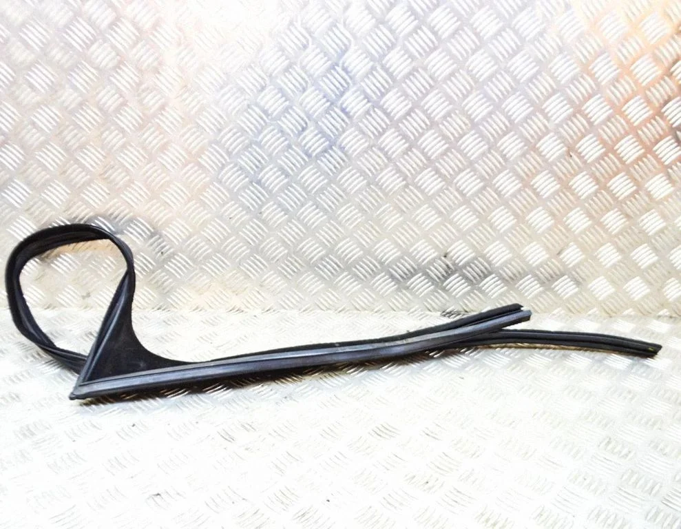 Priekšējā blīvgumija (uz durvīm) J9D321596A