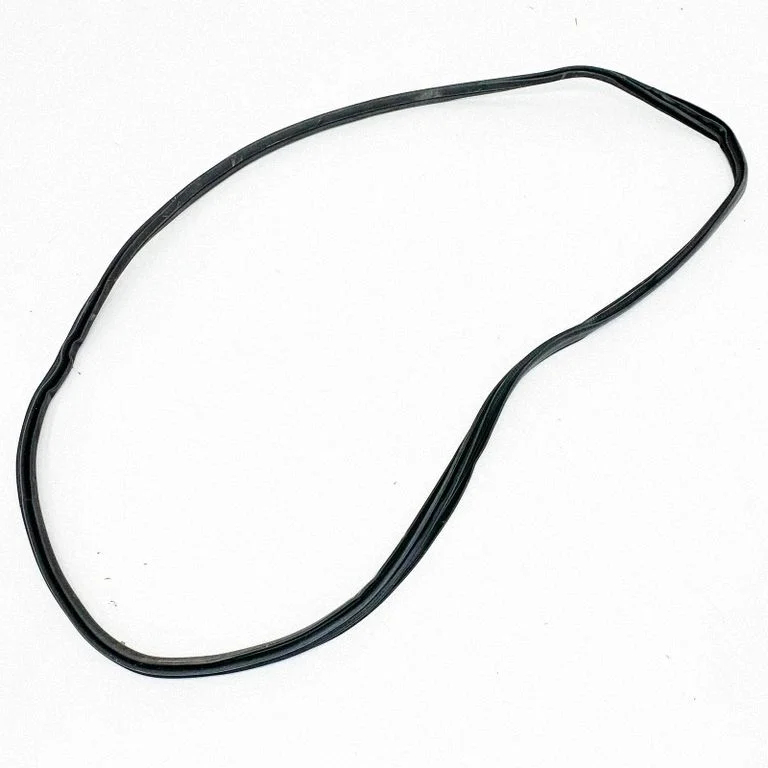 Rubber seal front door (on door) 103211718