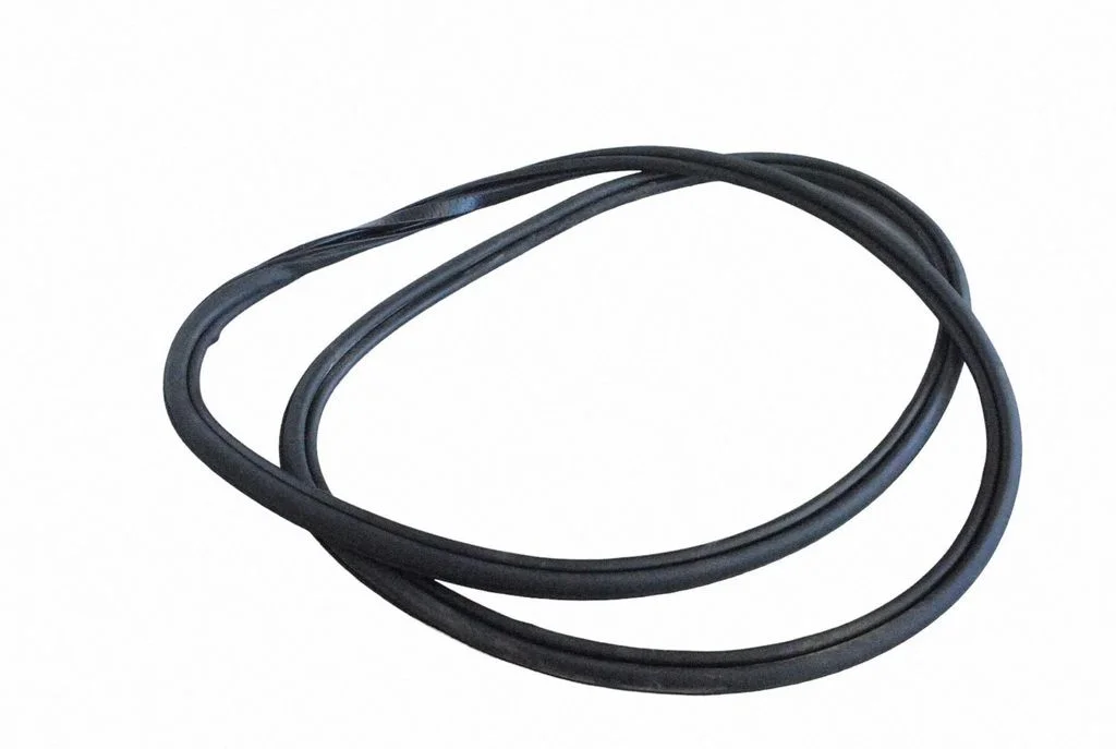 Rubber seal front door (on door) 3145767