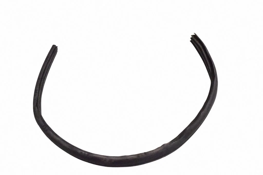 Rubber seal front door (on door) 7267927