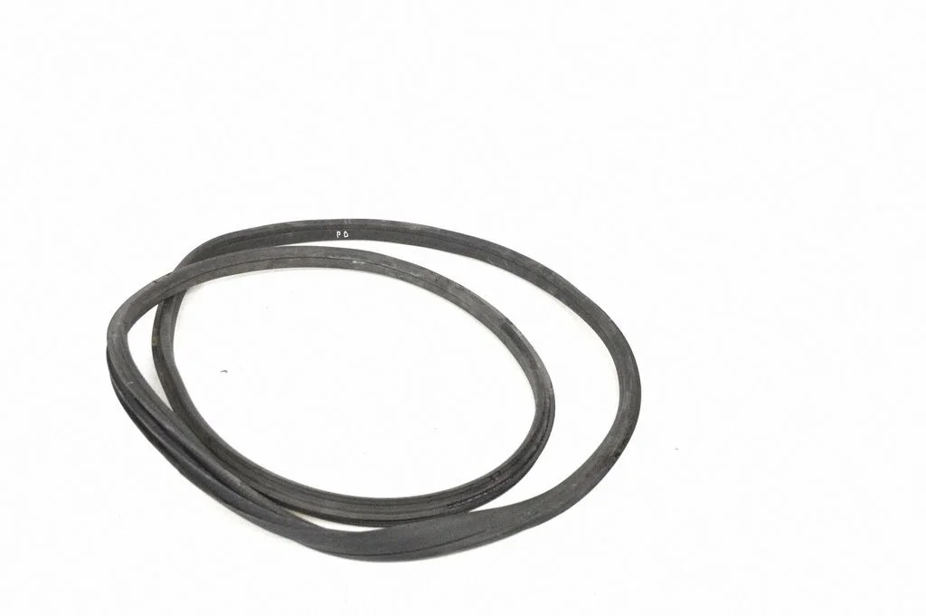 Rubber seal front door (on door) A2056363800