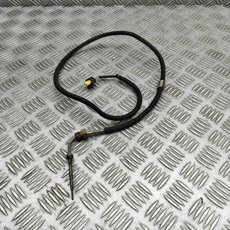 Izplūdes gāzu temperatūras devējs A0009058105