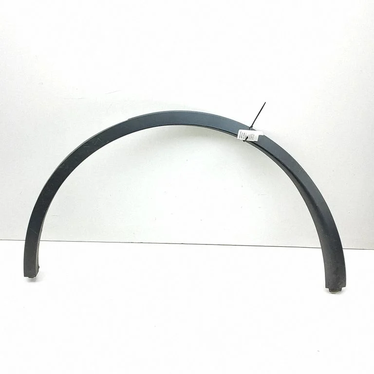 Poritiiva iluliist (molding) 165869700A