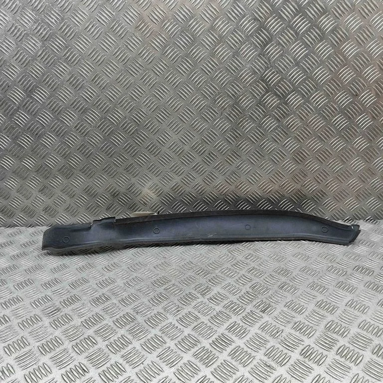 Poritiiva iluliist (molding) 57N821111