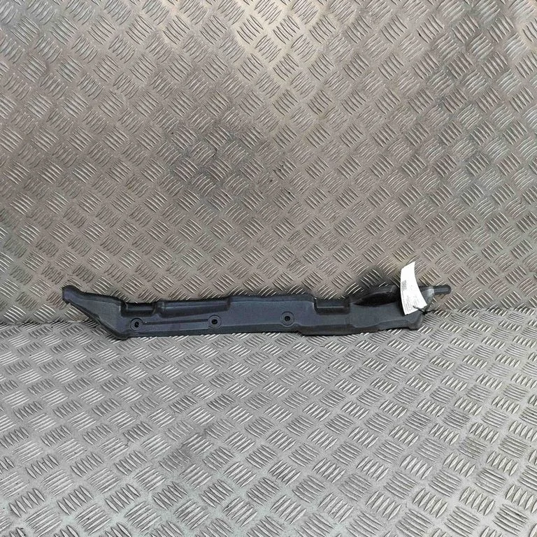 Poritiiva iluliist (molding) 631315MP0A