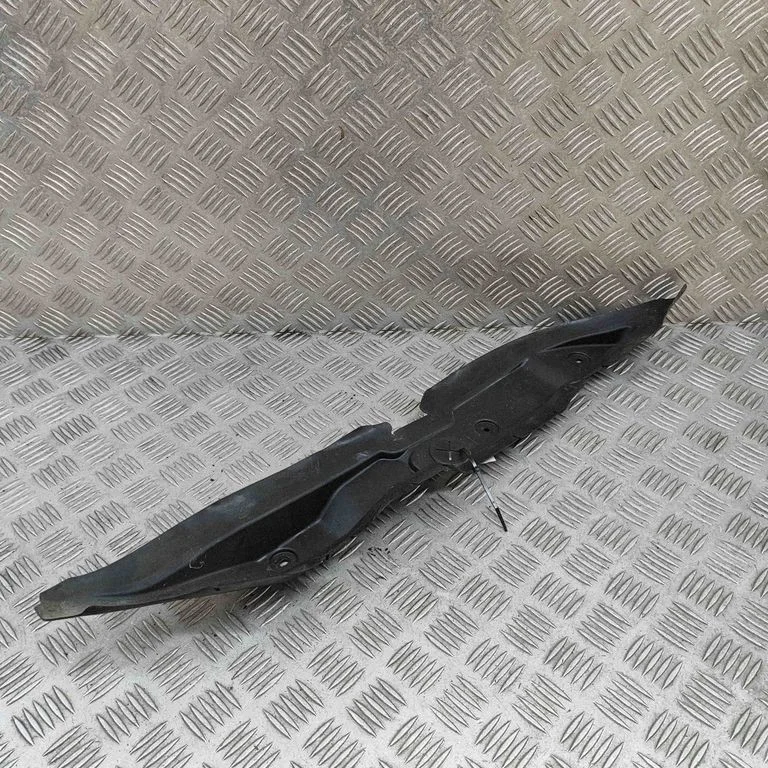 Fender trim (molding) A2958890000