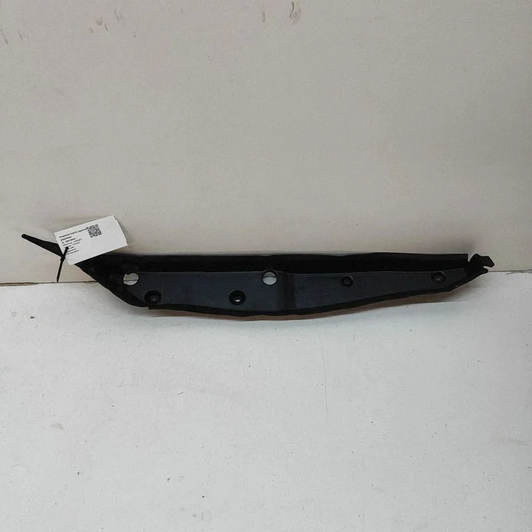Fender trim (molding)