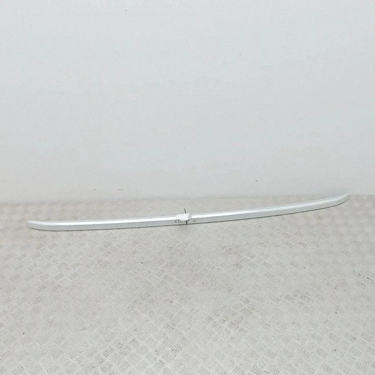 Jumta gareniskie stieņi „radziņi" 98170172VV