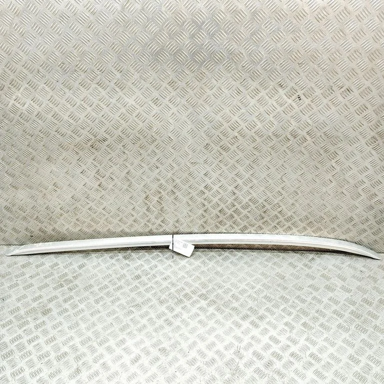 Jumta gareniskie stieņi „radziņi" SC2E5709200