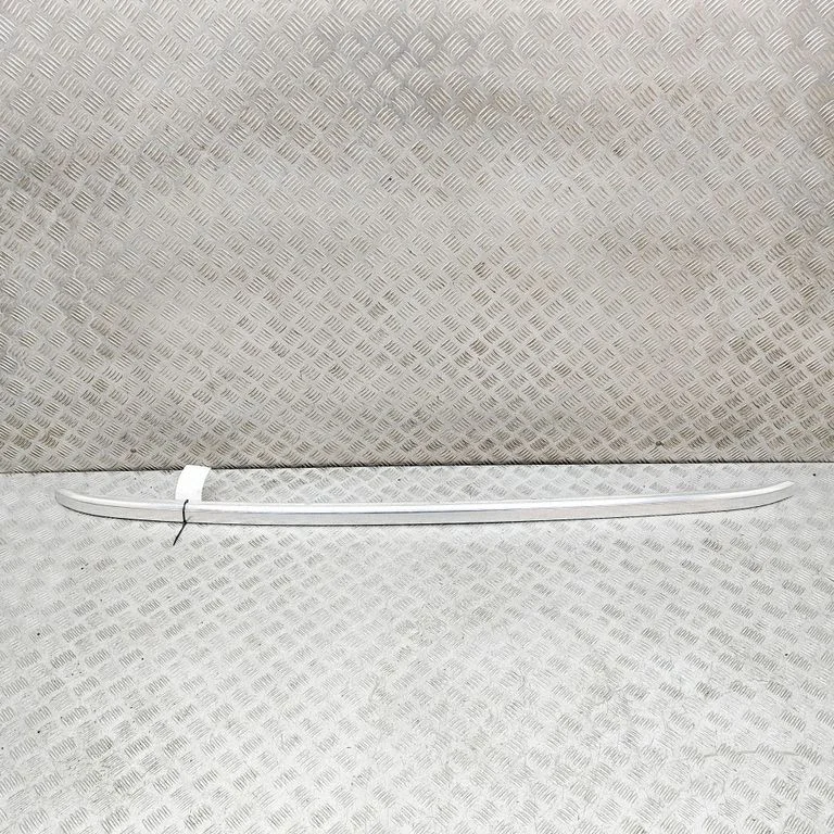 Jumta gareniskie stieņi „radziņi" 98170171VV