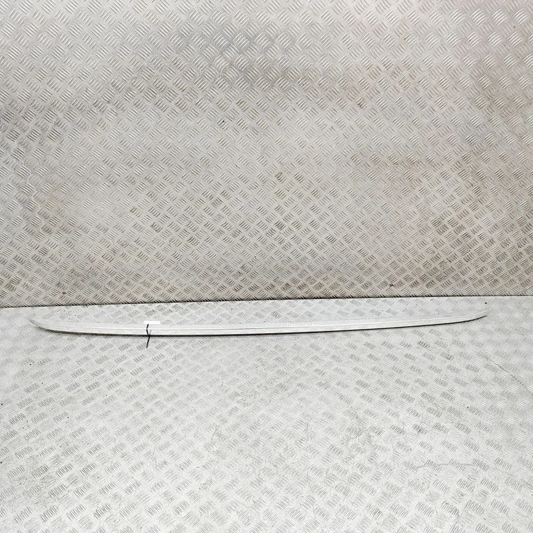 Jumta gareniskie stieņi „radziņi" 98170172VV