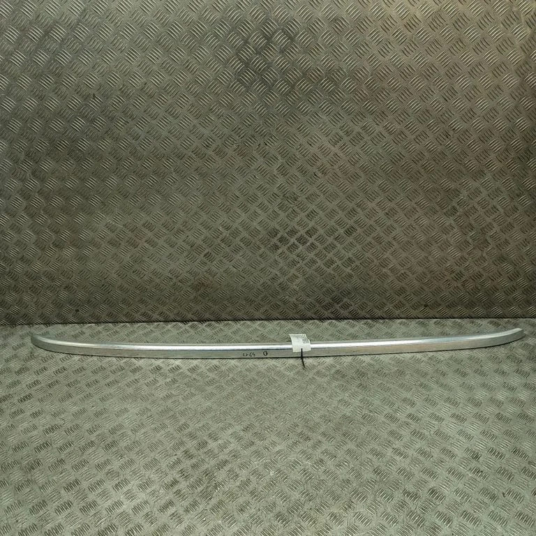 Jumta gareniskie stieņi „radziņi" 98170171VV