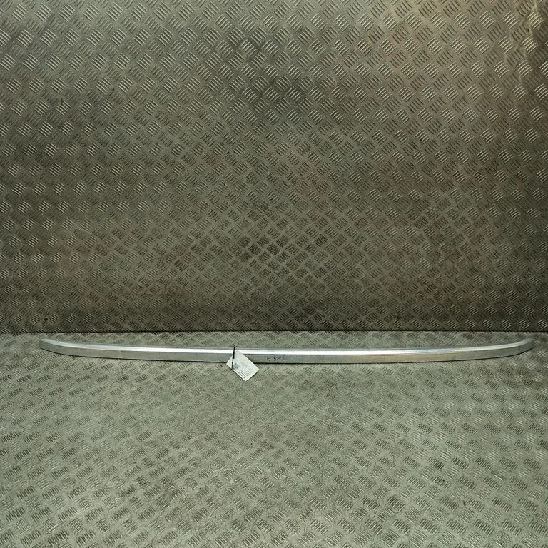 Jumta gareniskie stieņi „radziņi" 98170172VV