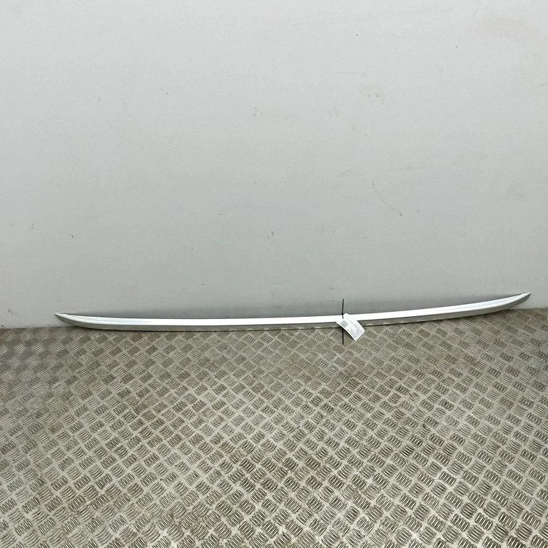 Jumta gareniskie stieņi „radziņi" 98108324VV