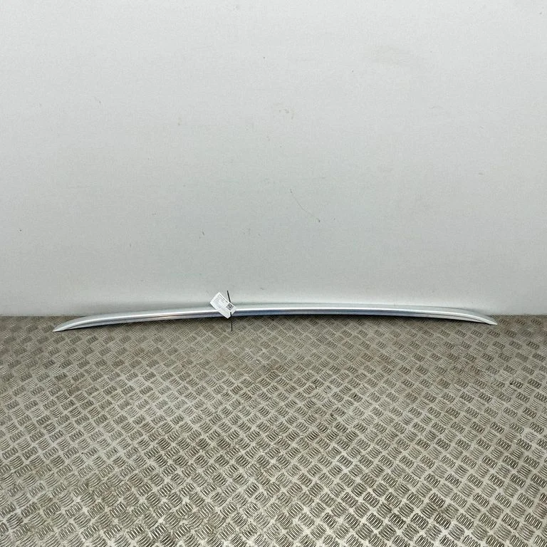 Jumta gareniskie stieņi „radziņi" 98108320VV